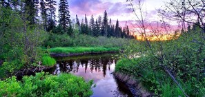 Miscellaneous - Off-Grid Cabin Nestled Among Nature with Lovely Landscape Views in Maine (Grand Isle)