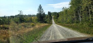 Miscellaneous - Off-Grid Cabin Nestled Among Nature with Lovely Landscape Views in Maine (Grand Isle)