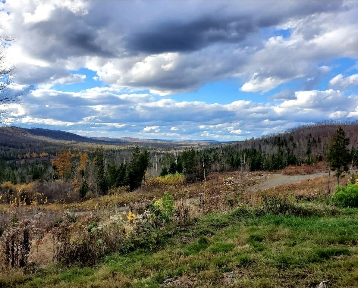 A landscape with a river, forest, and distant hills.