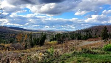 A landscape with a river, forest, and distant hills.