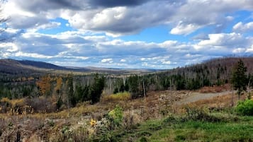 Un paysage comprenant une rivière, une forêt et des collines à l’horizon.
