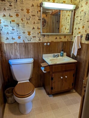 Hair dryer, towels, soap, shampoo - Quaint Lakeside Cabin for a Peaceful Family Getaway Surrounded by Nature by Province Lake in New Hampshire (Effingham)
