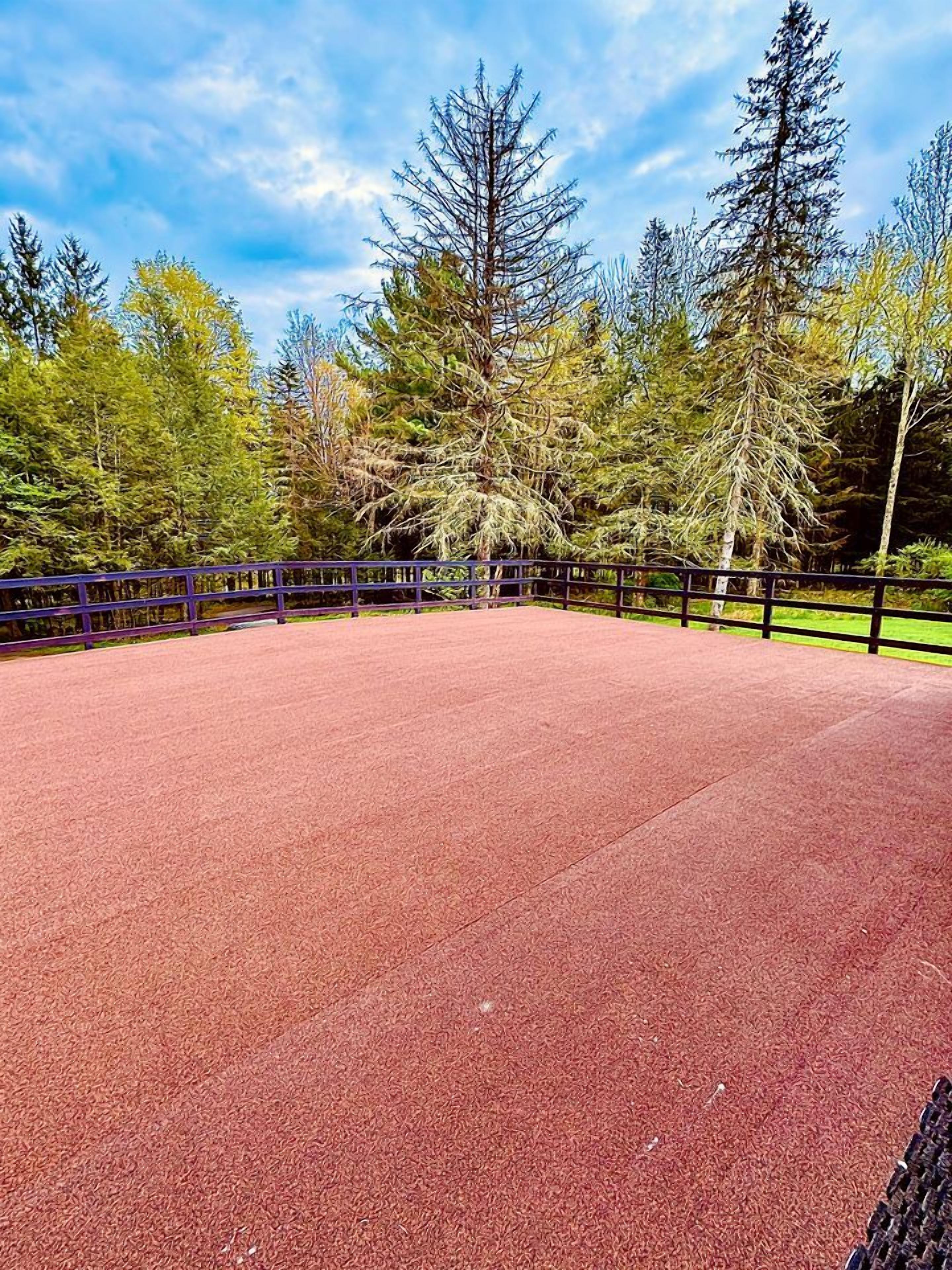 Un terrain de sport rouge, entouré d’une clôture et bordé d’arbres.