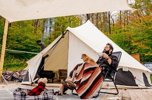 Une tente à l’intérieur de laquelle se trouvent une personne et un chien, ainsi qu’une chaise et une couverture posées sur le sol.
