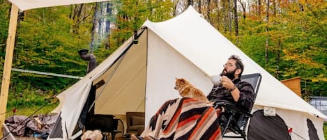 A tent with a person and a dog inside, a chair, and a blanket on the ground.