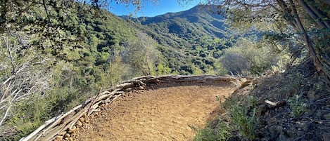 Un sendero de tierra con una cerca de madera, rodeado de árboles y colinas.