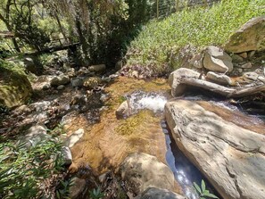 A natural outdoor setting with a small stream, rocks, and greenery.