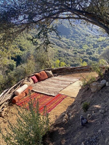 Charming Cabin Ideal for Hikers and Nature Lovers in Topanga, California