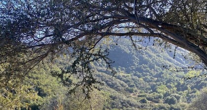 Charming Cabin Ideal for Hikers and Nature Lovers in Topanga, California