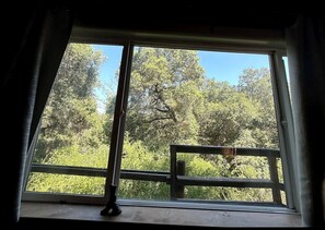 A window with a view of a wooden deck and trees.
