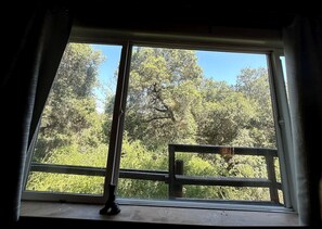 Una finestra amb vista a una terrassa de fusta i arbres.