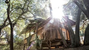 A wooden treehouse with a wooden staircase and a small window.