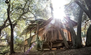 A wooden treehouse with a wooden staircase and a small window.