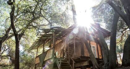 Charming Cabin Ideal for Hikers and Nature Lovers in Topanga, California