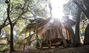Una casa en árbol de madera con una escalera de madera y un ventanal pequeño.
