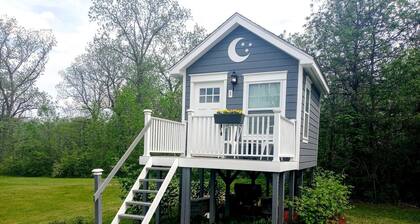 Beautiful Treehouse Under The Stars Near Wolverine, Michigan