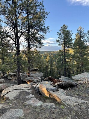 Miscellaneous - Private Bell Tent with Amazing Stargazing in Colorado (Trinidad)