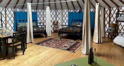 Gorgeous Yurt for Family Getaways in Upstate New York