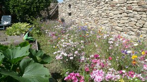 Un jardin avec un mur de pierre, différentes plantes à fleurs et une chaise.