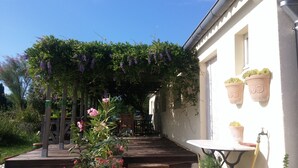 Un espace extérieur abrité doté d’une terrasse en bois, d’une pergola ornée de fleurs violettes et de plantes en pot disposées le long du mur.
