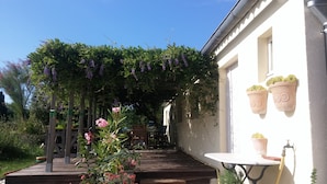 Un espacio al aire libre cubierto con una terraza de madera, una pérgola con flores moradas y plantas en macetas en la pared.