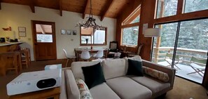 TV, fireplace, DVD player