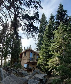 A two-story wooden cabin surrounded by dense forest.