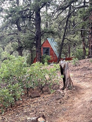 Property grounds - Peaceful A-frame Among Nature in Colorado (Trinidad)