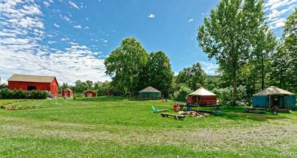 Colorful Upstate New York Yurt Rental on a Farm
