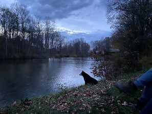 Ein Fluss mit einem Hund am Ufer, umgeben von Bäumen und einem bewölkten Himmel.