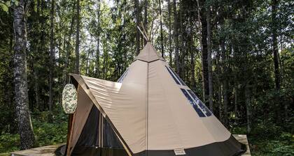 Innovative Nordic Tipi Rental for Glamping in Montana