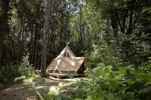 Innovative Nordic Tipi Rental for Glamping in Montana