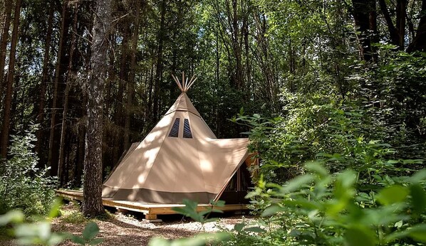 A single-room tent in a forest.
