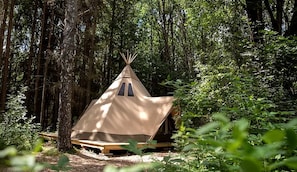 Une tente composée d’une seule pièce, située dans une forêt.