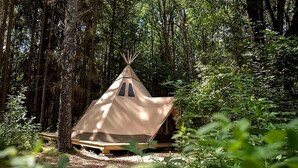 A single-room tent in a forest. - Enchanting Nordic Tipi for a Montana Glamping Getaway (Bozeman)