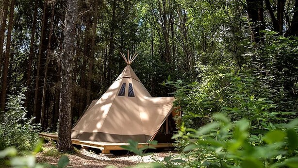 Una tienda de campaña individual en un bosque.