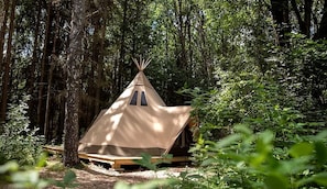 Property grounds - Enchanting Nordic Tipi for a Montana Glamping Getaway (Bozeman)