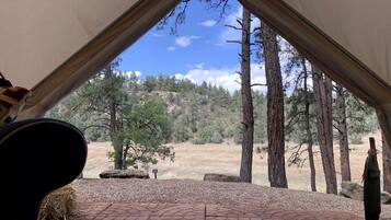 Enceinte de l’hébergement