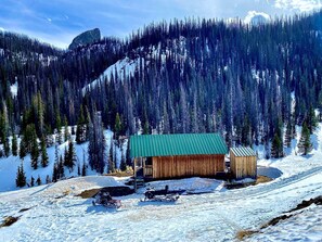 A wooden cabin with a green roof, surrounded by snow-covered ground and dense forest. - Schinzel Flats Hideaway near Pagosa Springs, CO (La Jara)