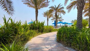 Un camino pavimentado bordeado de palmeras y plantas tropicales que conduce a una zona de playa con sombrillas azules.