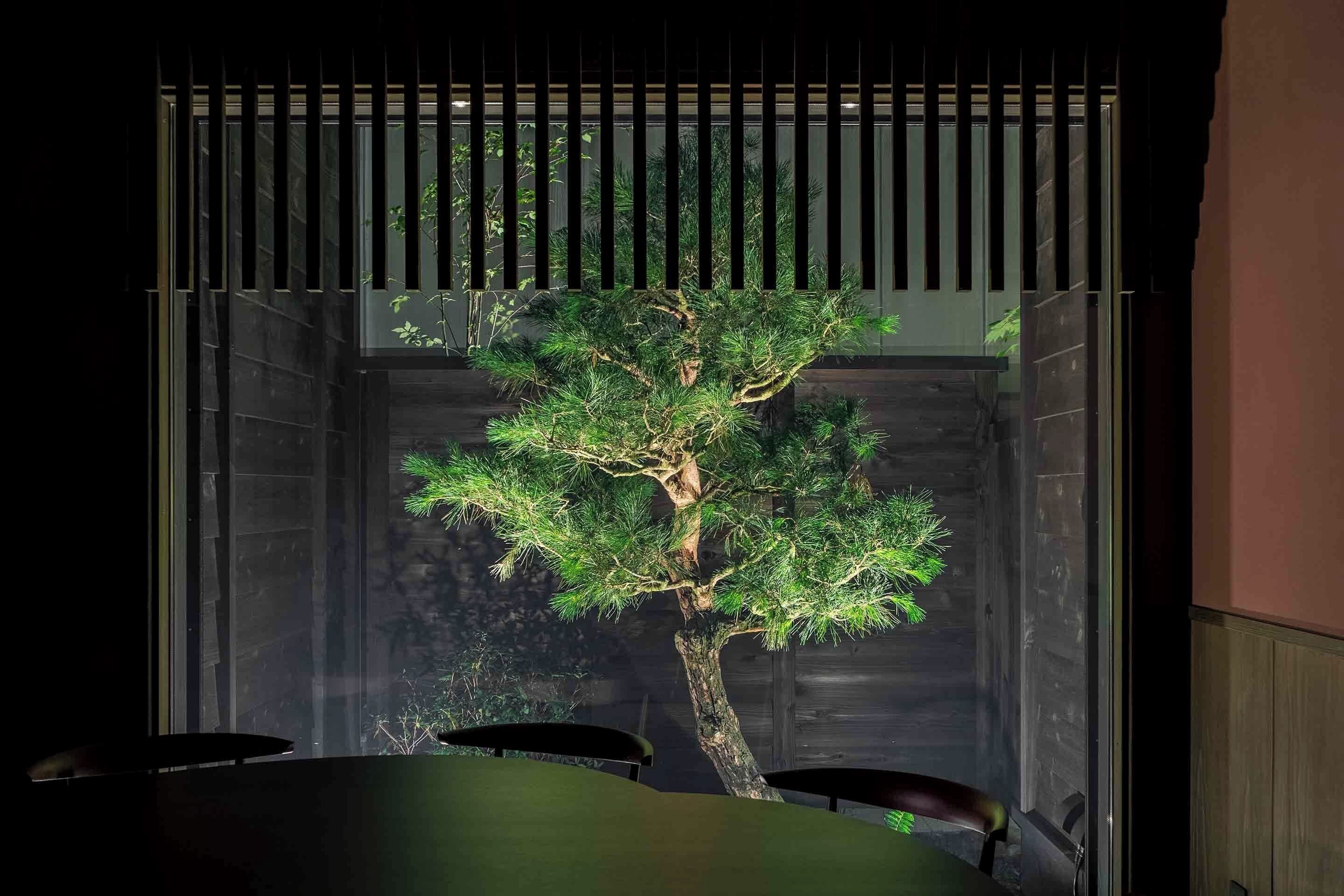 Traditional House, 3 Bedrooms, Kitchen, Garden View | Garden view