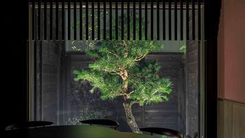 Traditional House, 3 Bedrooms, Kitchen, Garden View | Garden view