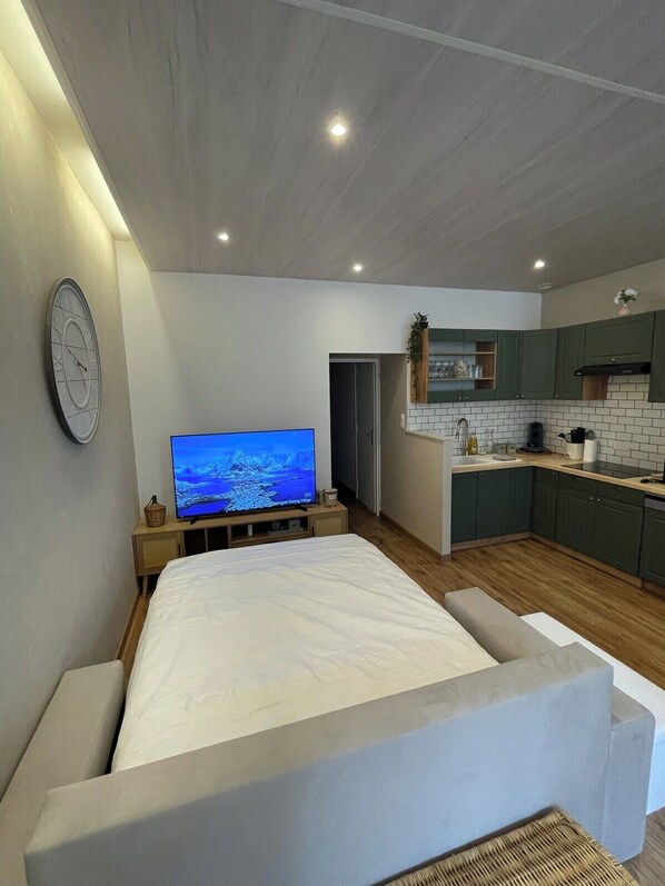 Une chambre moderne avec un grand lit, une télévision et une petite table de chevet.