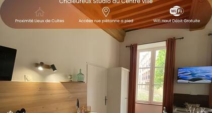 Chaleureux studio - Au Coeur du Centre ville
