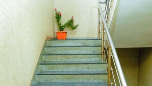 Un escalier avec des rampes en métal et un pot de fleurs à sa base.