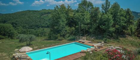 A rectangular swimming pool with a wooden deck and lounge chairs, surrounded by lush greenery and trees.