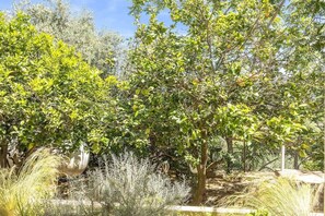 Terrain de lâhĂ©bergement