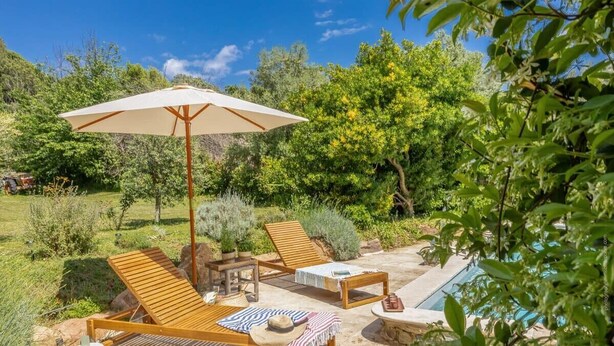 A patio with wooden lounge chairs, a table, and a large umbrella. - Casa Murati (Sisco)