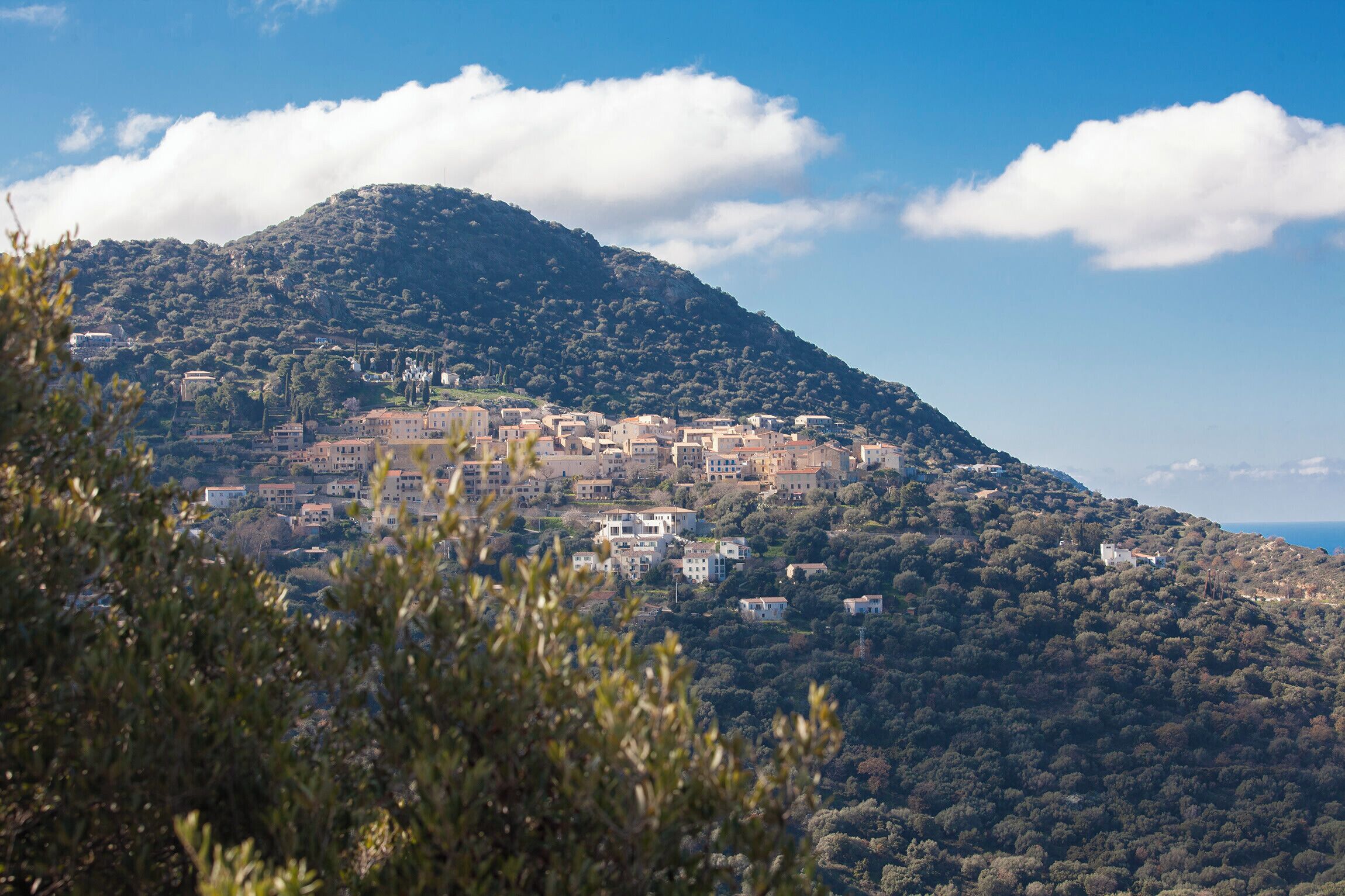 A hillside town with buildings clustered on a slope, surrounded by dense vegetation and a clear sky.