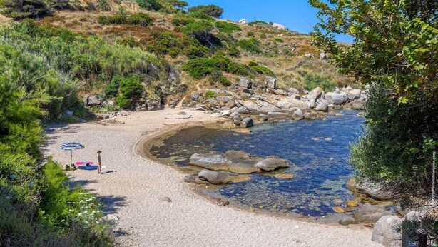 A beach with clear water, rocky shore, and greenery. - Casa Félicie (Calvi)